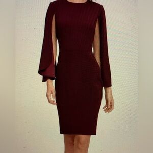 Calvin Klein Plum cocktail dress w/ cape sleeves.